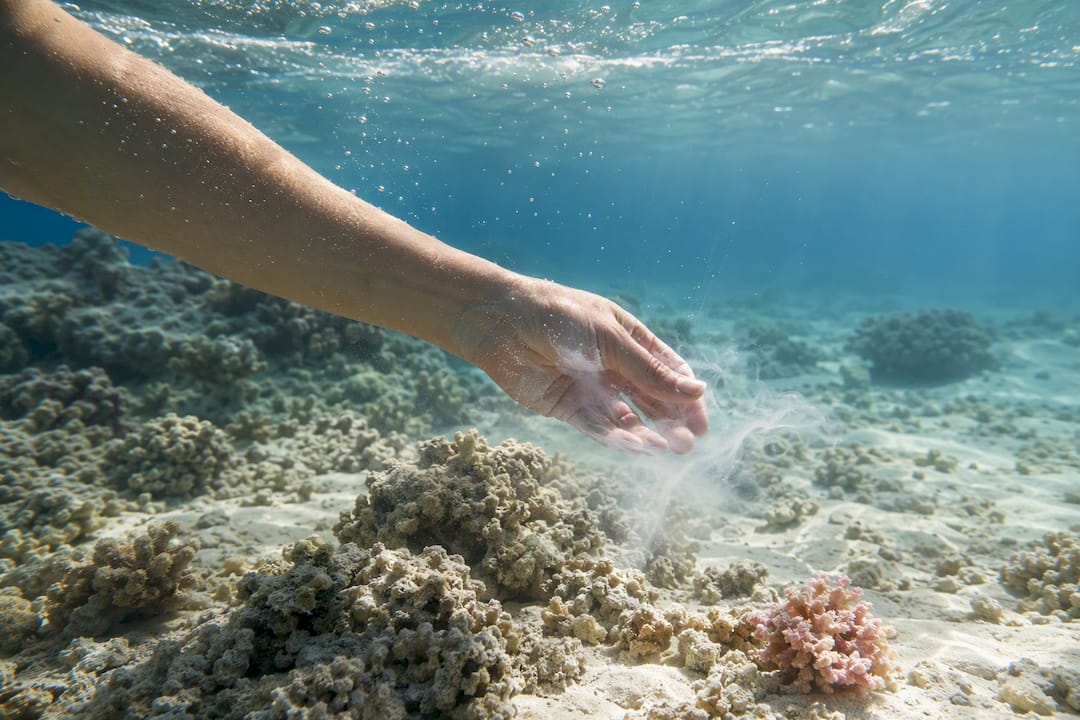 25–50% of Sunscreen Washes Off: What "Reef Safe" Means for UK Shoppers